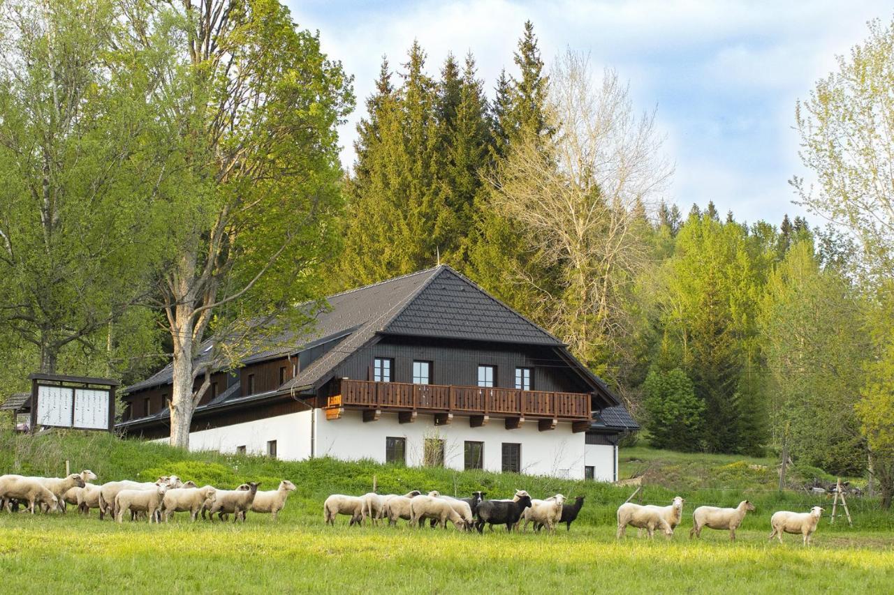 Guest house Dvur Liskovy Vrch Strazny