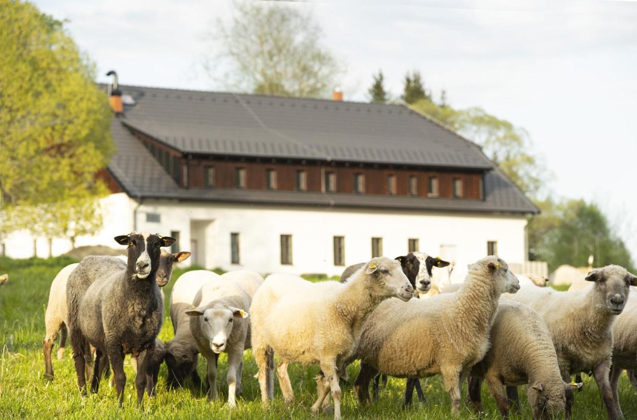 Dvur Liskovy Vrch 4* Strazny