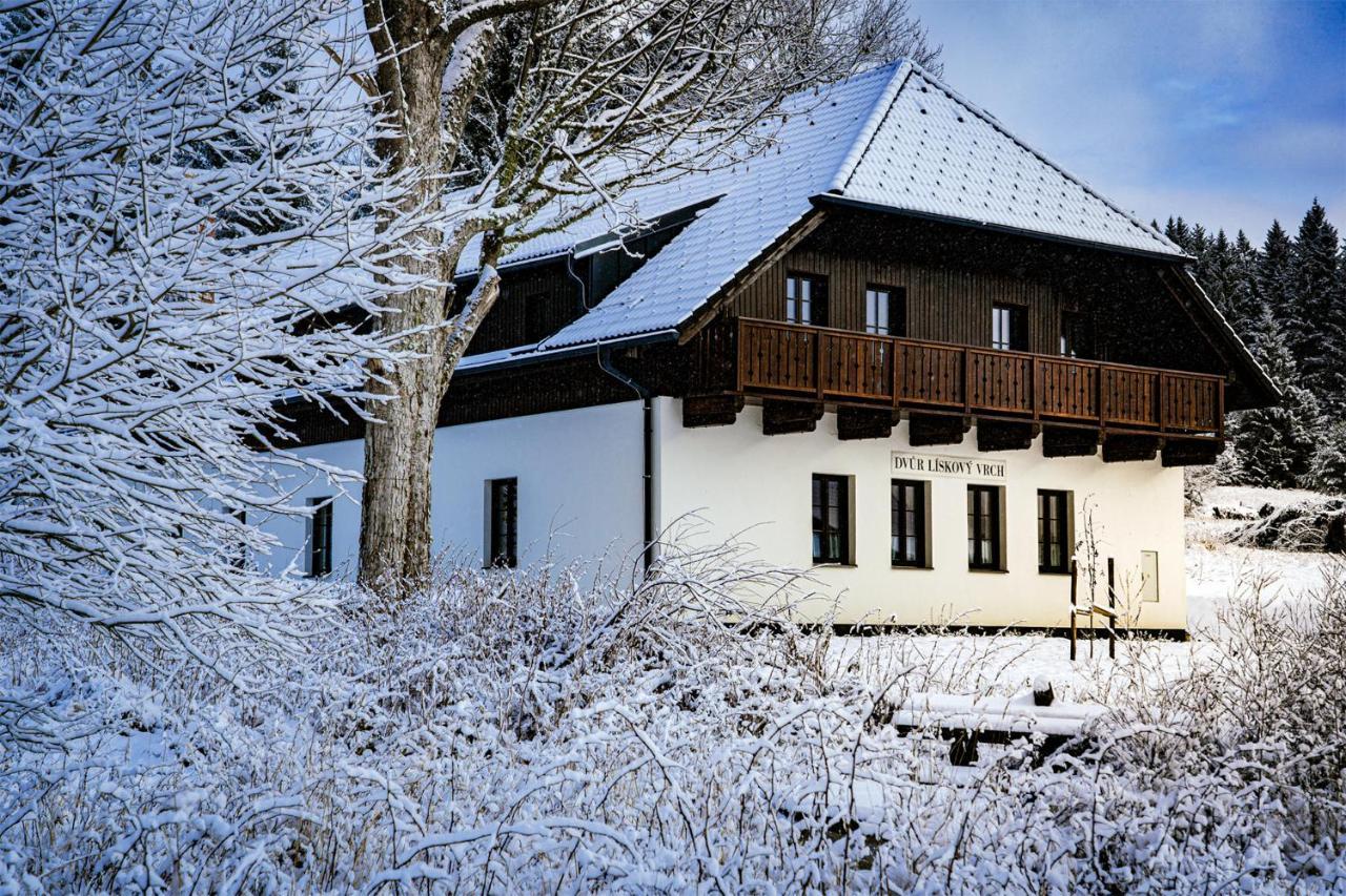Dvur Liskovy Vrch Guest house Strazny